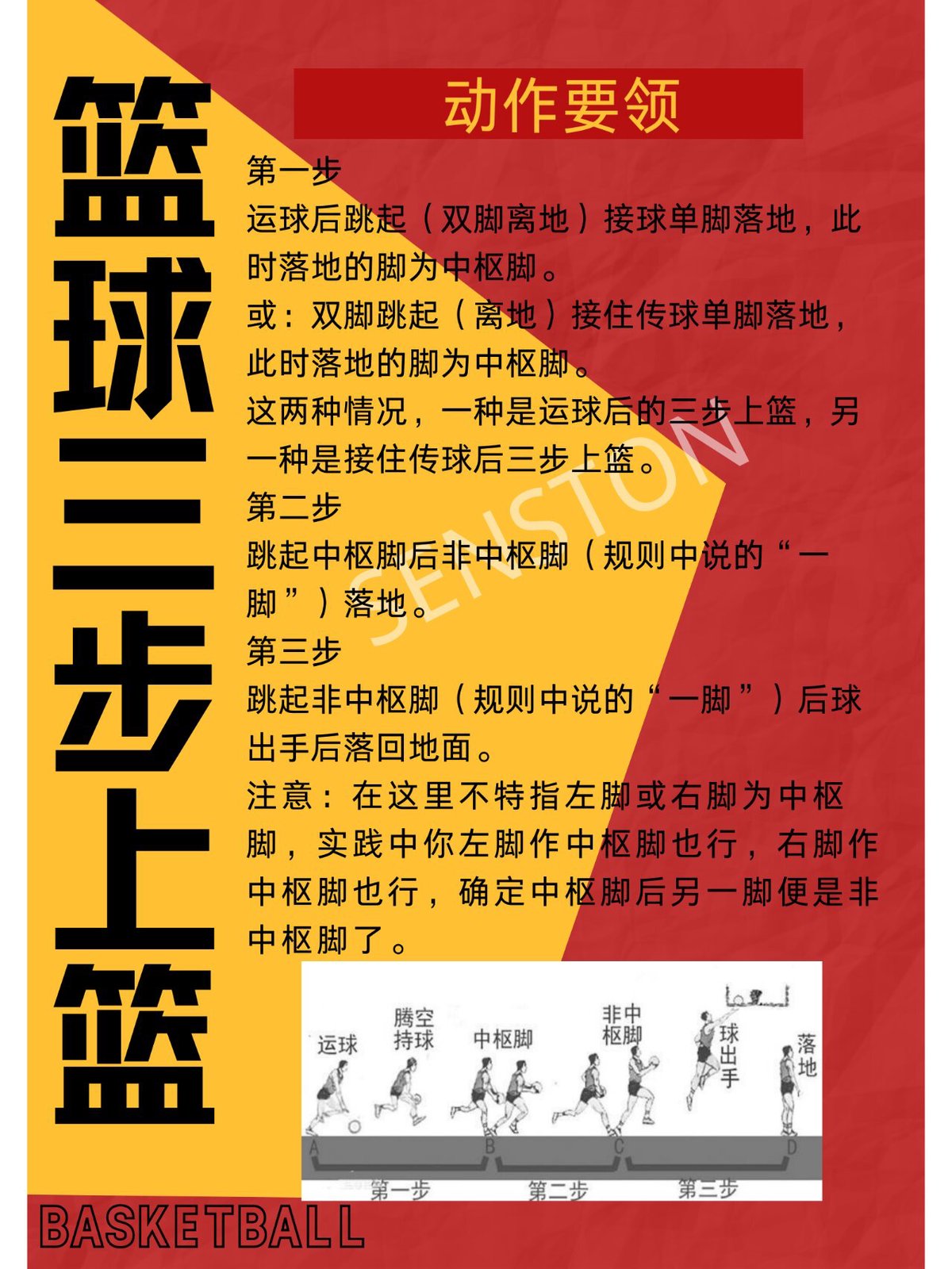 篮球训练教程视频下载百度网盘